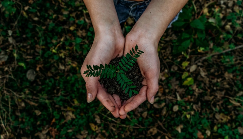 STIDE Achieves Carbon Neutral Status Across All Facilities